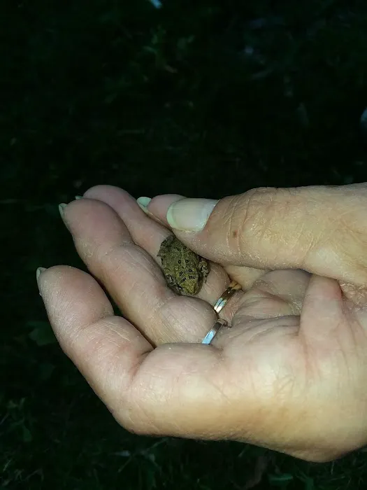 Camp Qtokee Picture 5