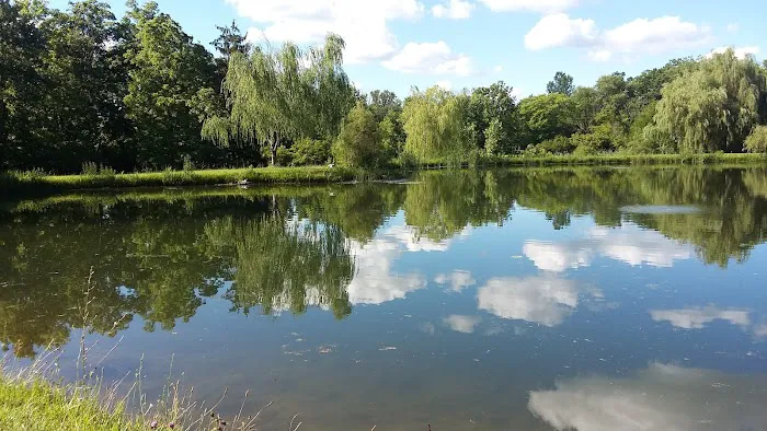 Camp Mac Polk Grove Church Picture 1