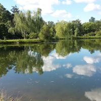 Camp Mac Polk Grove Church ico