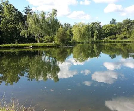 Camp Mac Polk Grove Church