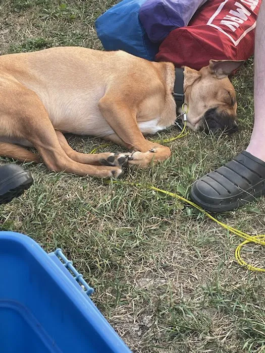 Ohio State Eagles Campground Picture 9