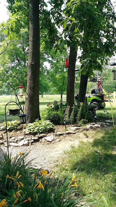 Back 40 Campground Picture 9