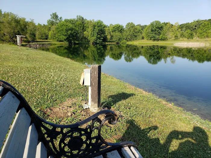 Back 40 Campground Picture 3