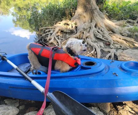 Thaxton’s Canoe Trails and Paddlers’ Inn