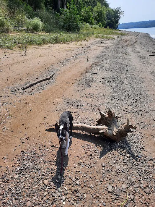 River Pines Picture 6