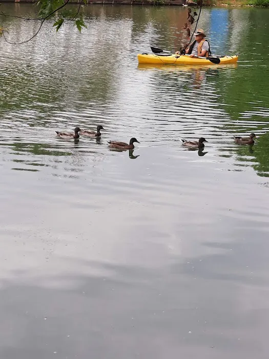 River Pines Picture 2