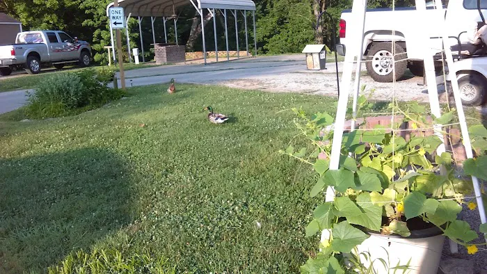 River Pines Picture 5