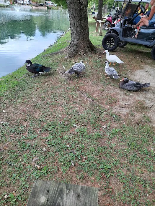 River Pines Picture 8