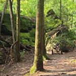 Copperas Creek Canoe Launch