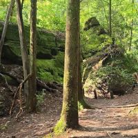 Copperas Creek Canoe Launch ico