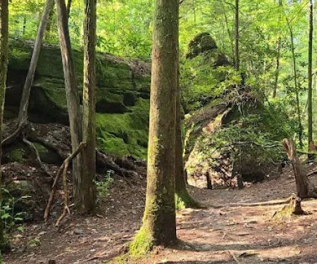 Copperas Creek Canoe Launch