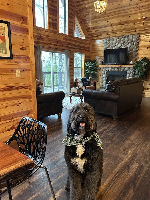 Moonlight Ridge Cabin Picture 1