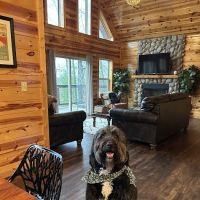 Moonlight Ridge Cabin ico