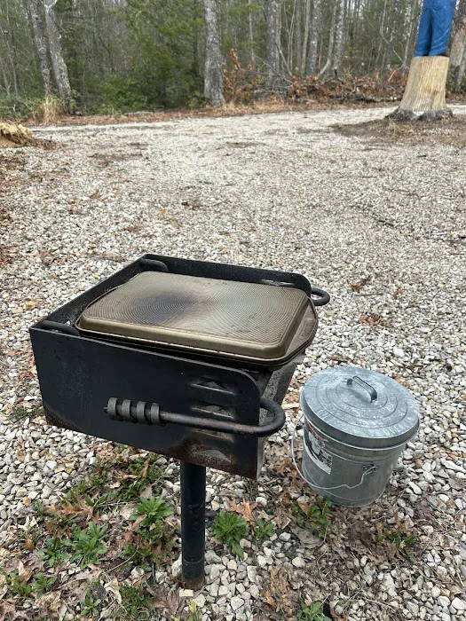 Moonlight Ridge Cabin Picture 4
