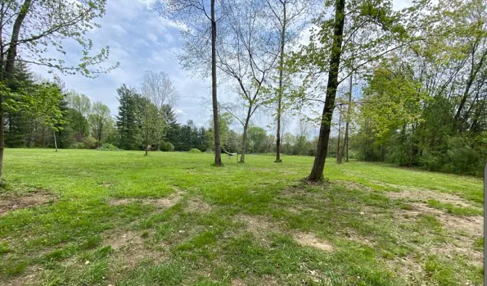 Todds Fork Adventures Picture 4