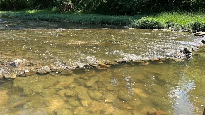 Todds Fork Adventures Picture 6