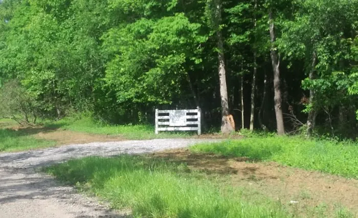 Todds Fork Adventures Picture 2