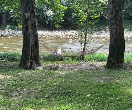 Todds Fork Adventures