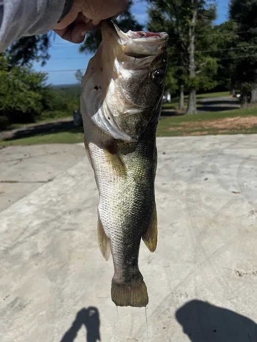 Coble's Landing Picture 7