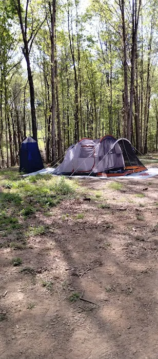 Coble's Landing Picture 8