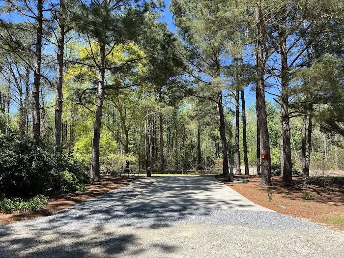 Cedar Creek Campground at Elease Picture 2