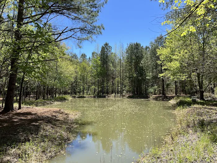 Cedar Creek Campground at Elease Picture 1