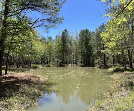 Cedar Creek Campground at Elease