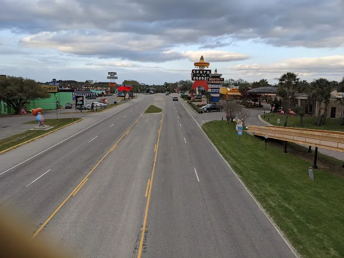 Camp Pedro Picture 4