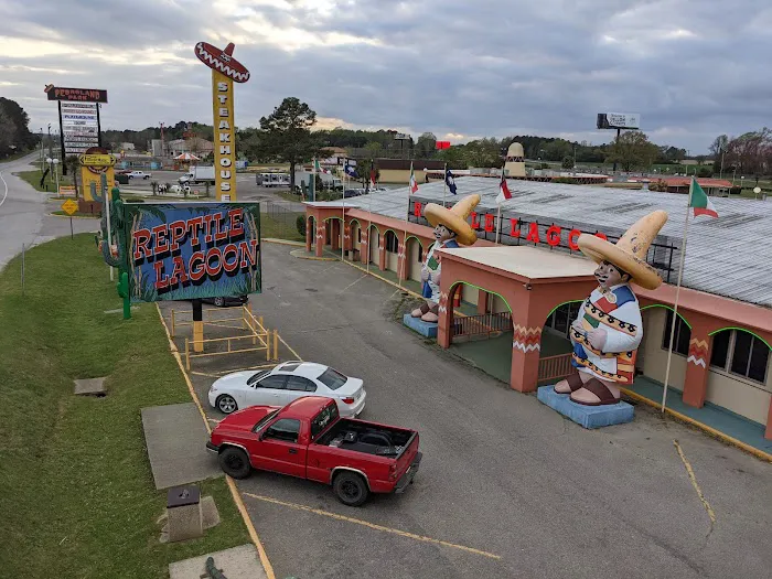 Camp Pedro Picture 9