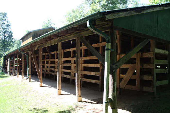 Cherokee Trails Campground & Stables Picture 8