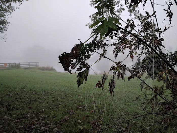 Pursuit Farms Picture 1