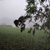Pursuit Farms ico