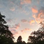 Buffalo Camp & RV Park