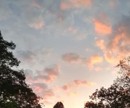 Buffalo Camp & RV Park