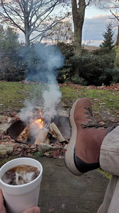 Mountain Flower Cabin Picture 1
