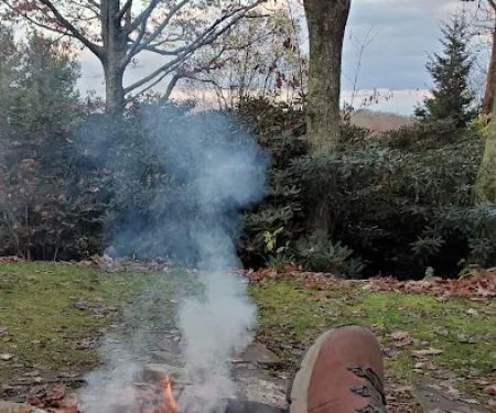 Mountain Flower Cabin