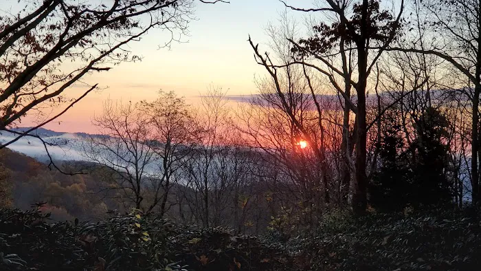 Mountain Flower Cabin Picture 2