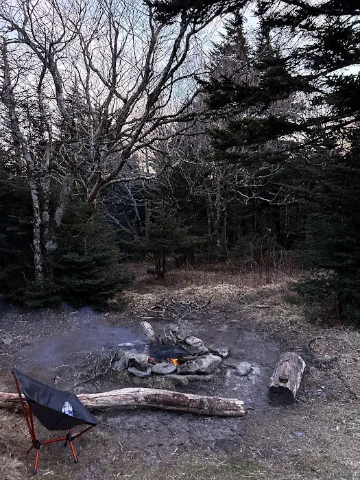 Briar Patch Campsite Picture 3