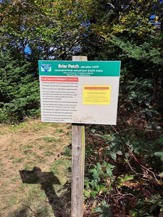 Briar Patch Campsite Picture 1