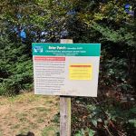 Briar Patch Campsite