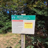 Briar Patch Campsite ico