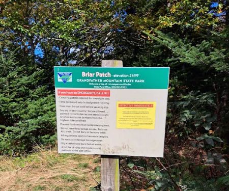 Briar Patch Campsite