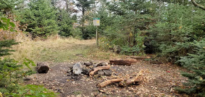 Briar Patch Campsite Picture 2