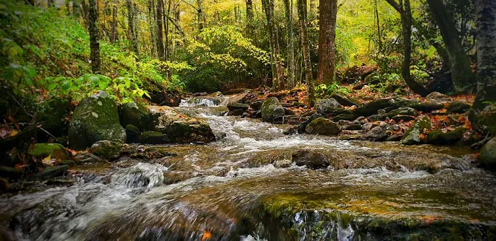 Grandfather Campground Picture 1