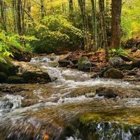 Grandfather Campground ico