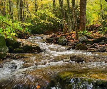 Grandfather Campground