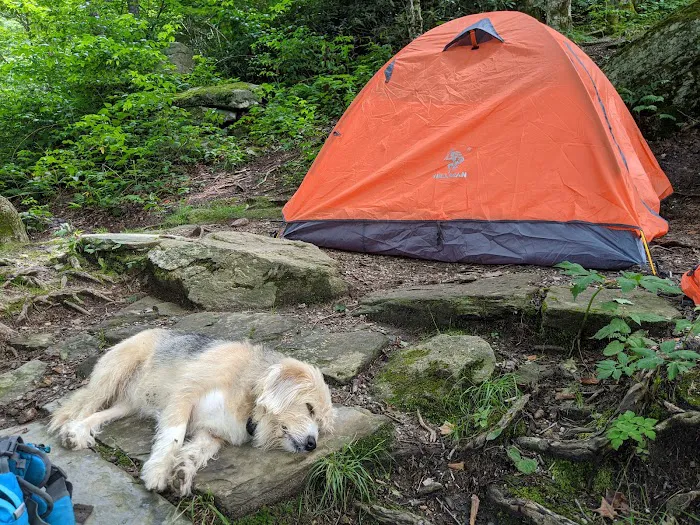 Profile Campsite Picture 2