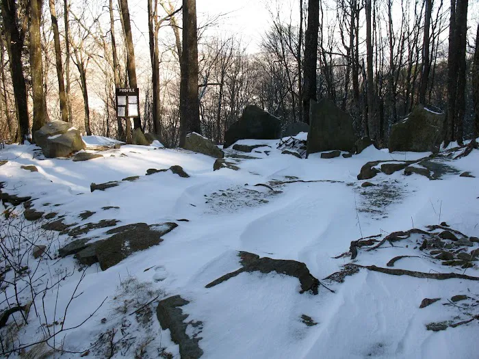 Profile Campsite Picture 3