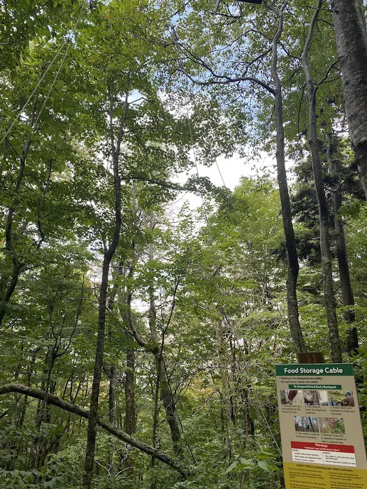 Profile Campsite Picture 4