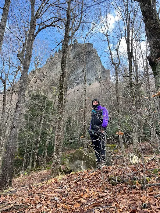 Profile Campsite Picture 6